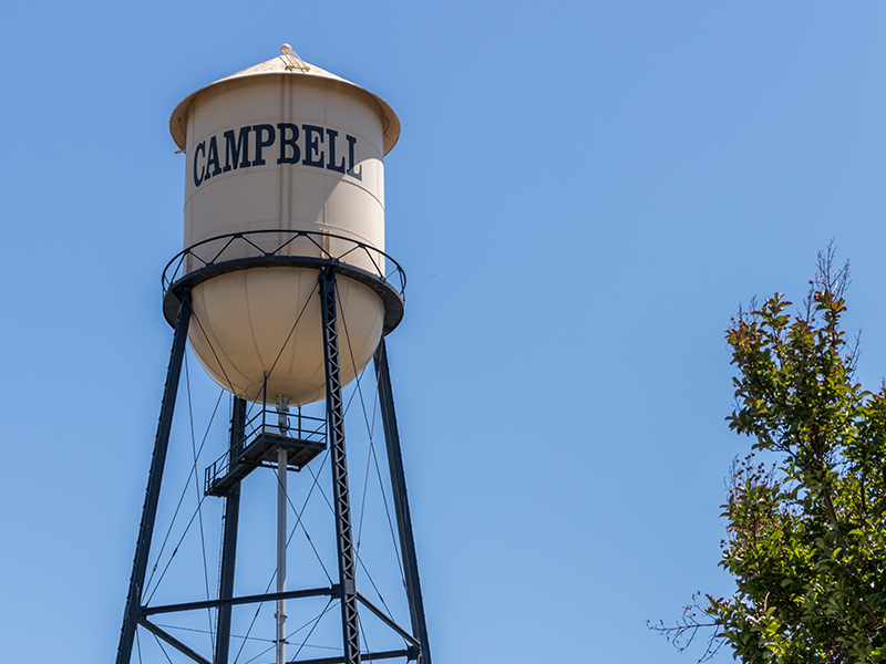 Campbell